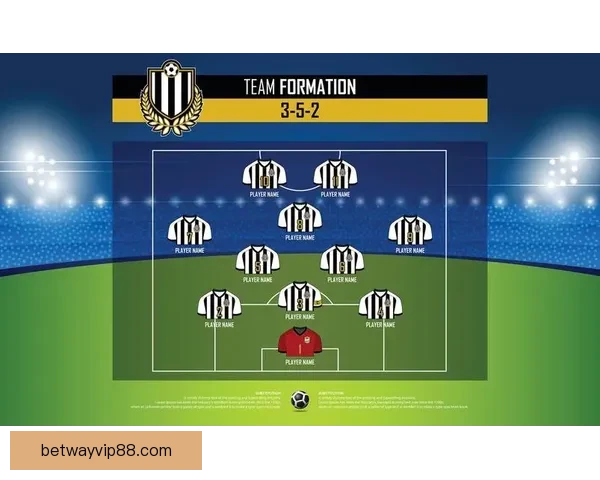 2026世界杯参赛球队全解析与赛程展望指南