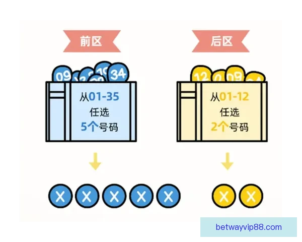 美洲三国世界杯比赛投注指南与最新赔率解析